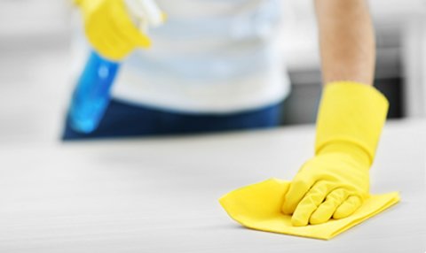 Cleaning a Treston workbench